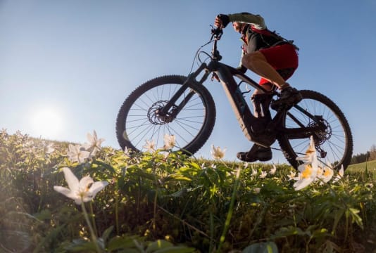 23201 Successful & Longstanding Electric Bicycle Retailer - Lucrative Market