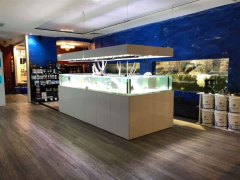 Looking for an aquarium business set up? Minimal risk & low set up cost.