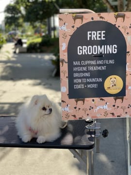 Brisbane Markets Business  | Top Venues | Flexible Weekends