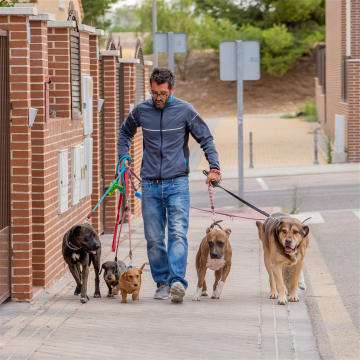 Very Enjoyable Business - Beautiful Pets