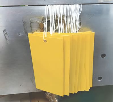 Specialized Print Finishing Service – Sydney, NSW