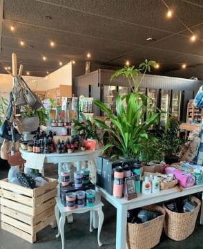 Two Businesses In One - Cafe & Boutique Shop