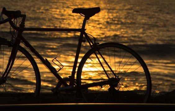 A Long Established and High-Performing, Bicycle, Parts and Accessories Retail Store