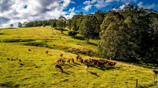 Agriculture, Recreation and Luxe Accommodation Development Opportunity