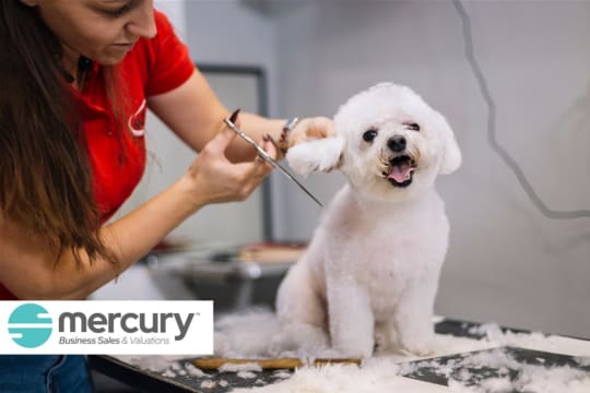 Long-Established Dog Grooming Business - Prime Area