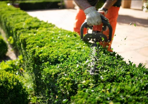 Landscaping Business -   Recurring Revenue + Strong Growth!