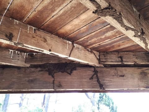 Nkmqwkuusxnbtuyodv1x