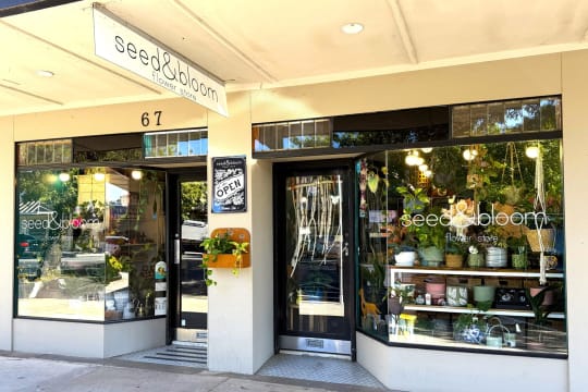 LEASEHOLD - Seed & Bloom Flower Store, Wangaratta - 1P0586