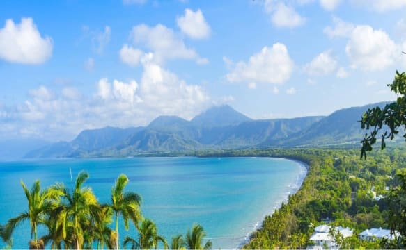 Motivated vendors, price reduction make an offer – Port Douglas Management Rights