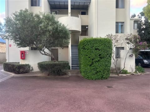 Landscaping & Maintenance - Easy To Run