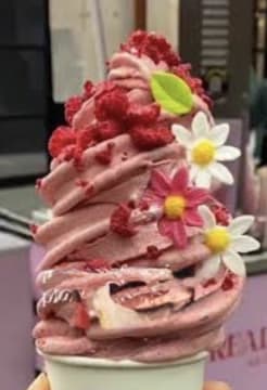 ICE CREAM & SELF SERVE YOGHURT - STATE OF THE ART - COST $500,000 TO SET UP