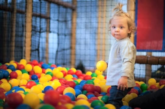 Thriving Indoor Play Centre & Party Venue | $10,500+ Weekly Revenue | Established Brand [2605293]