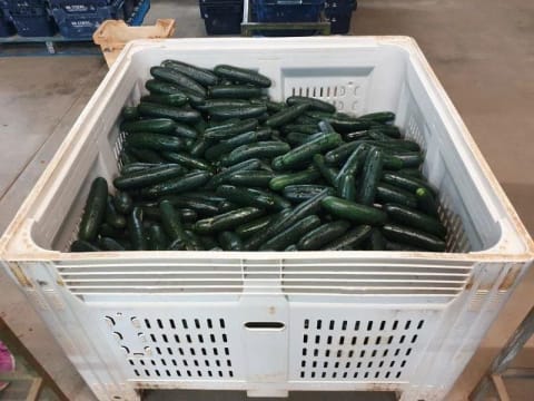 Horticulture Business & 58 Acre Asset | $1.5M+ Capability | Walk-In Walk-Out