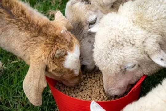 Nzbodx8xerdghipzj6uu