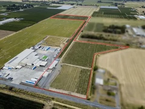 Premium Commercial Fig Orchard | Freehold Land | Established Agribusiness