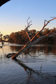 Award winning tourism business - watercraft hire Nagambie Lakes