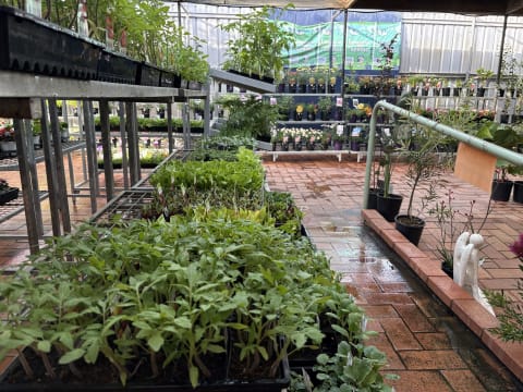 An Iconic Regional Hardware Store Serving the community for More Than 45 years