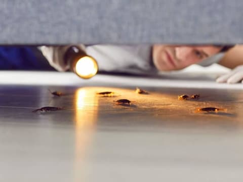 Ogwyov95cuxdanfmrdmi