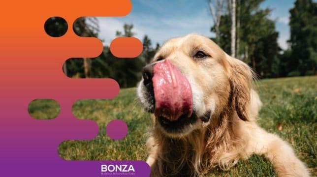 36479 Established Pet Food Manufacturing Business - Growing Market