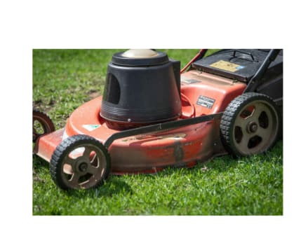 Mowing part time run in Noosa