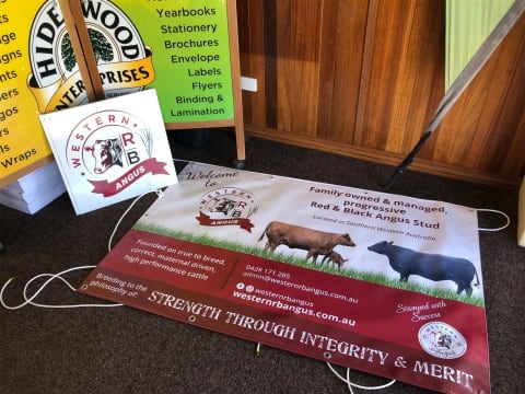 Signage and Print Business opportunity in the regional Cranbrook, W.A.