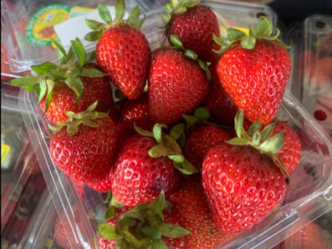 FRUITFUL OPPORTUNITY  Newly Renovated Grocer & Cafe For Sale!