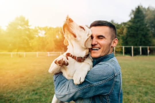 Online Pet Product Wholesaler/Distributor and Supplier #438