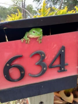 NATURES ENGINEERING WONDER PLANT