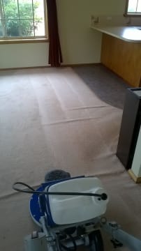 Established Carpet Cleaning Business with 37+ Year History | Loyal Client Base