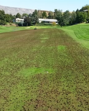 Highly Profitable Lawn Renovation & Sports Field Maintenance Business