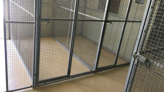 Escape the City. Bring Your Income With You.
Established Boarding Kennel Business + Home + 45 Acres