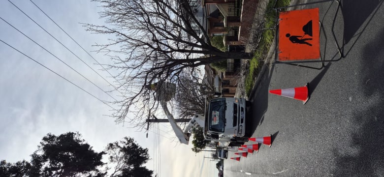 Vegetation Maintenance Municipal Contractor