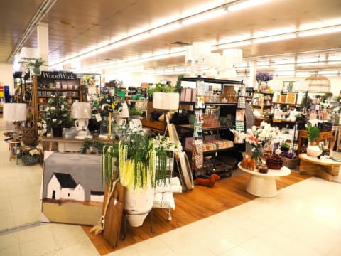 Scone Newsagency - $425k + SAV