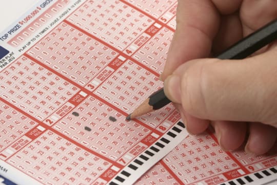 Tatts Lotto & News  Newly Established, Great Opportunity! [2506031]