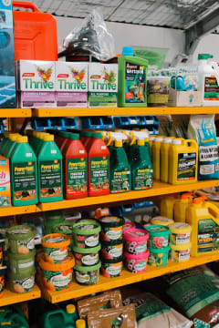 A perfect opportunity to make the tree change and make money from day one