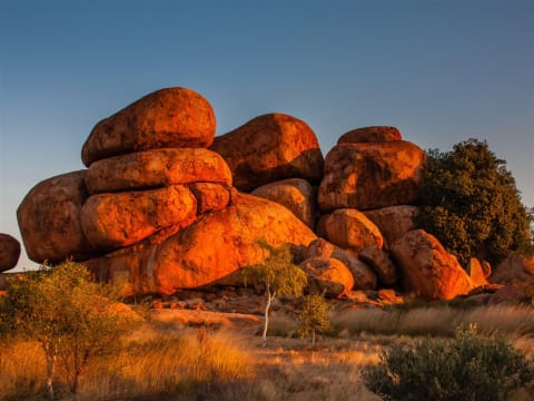 Central Australia Tour Business in Australia's Red Heart
