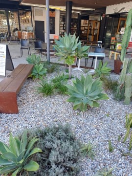 Beautifully Presented Cafe / Coffee - Fremantle