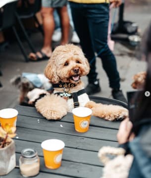 DAY TRADE CAFE
in affluent location with CHEAP RENT