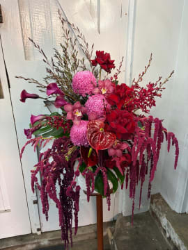 Oakleighs Iconic Florist Nursery Business for Sale SV1585