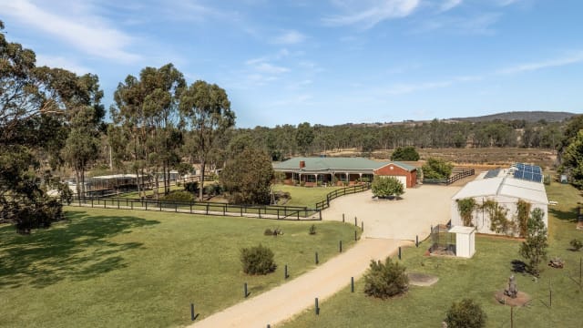 Escape the City. Bring Your Income With You.
Established Boarding Kennel Business + Home + 45 Acres