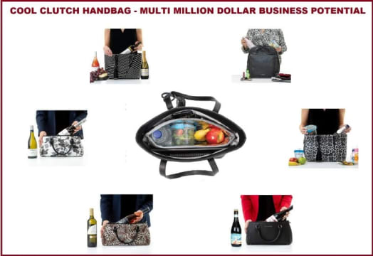 COOL CLUTCH COOLER HANDBAG - MULTI MILLION DOLLAR ONLINE BUSINESS POTENTIAL