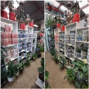 Pbynsb6ph4j44d8zce1y