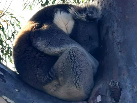 COASTAL INVESTMENT NOT TO BE MISSED - 2581MI