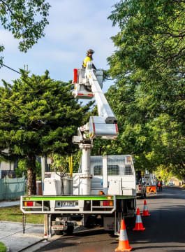 Vegetation Maintenance Municipal Contractor - EBS