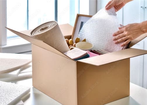 Established Freight, Logistics and  Packaging Business