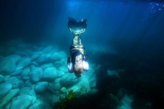 Unique business opportunity for a mermaid at heart