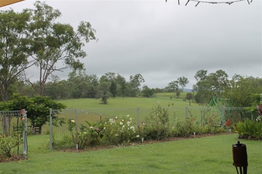 NATURES ENGINEERING WONDER PLANT