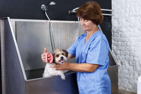 High-Tech Automated Car Wash in Vic for Sale