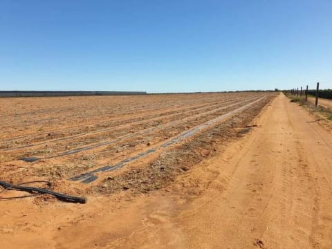 Horticulture Business & 58 Acre Asset | $1.5M+ Capability | Walk-In Walk-Out