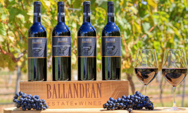 Huge Upside Well Established Business and Property - 2890CF